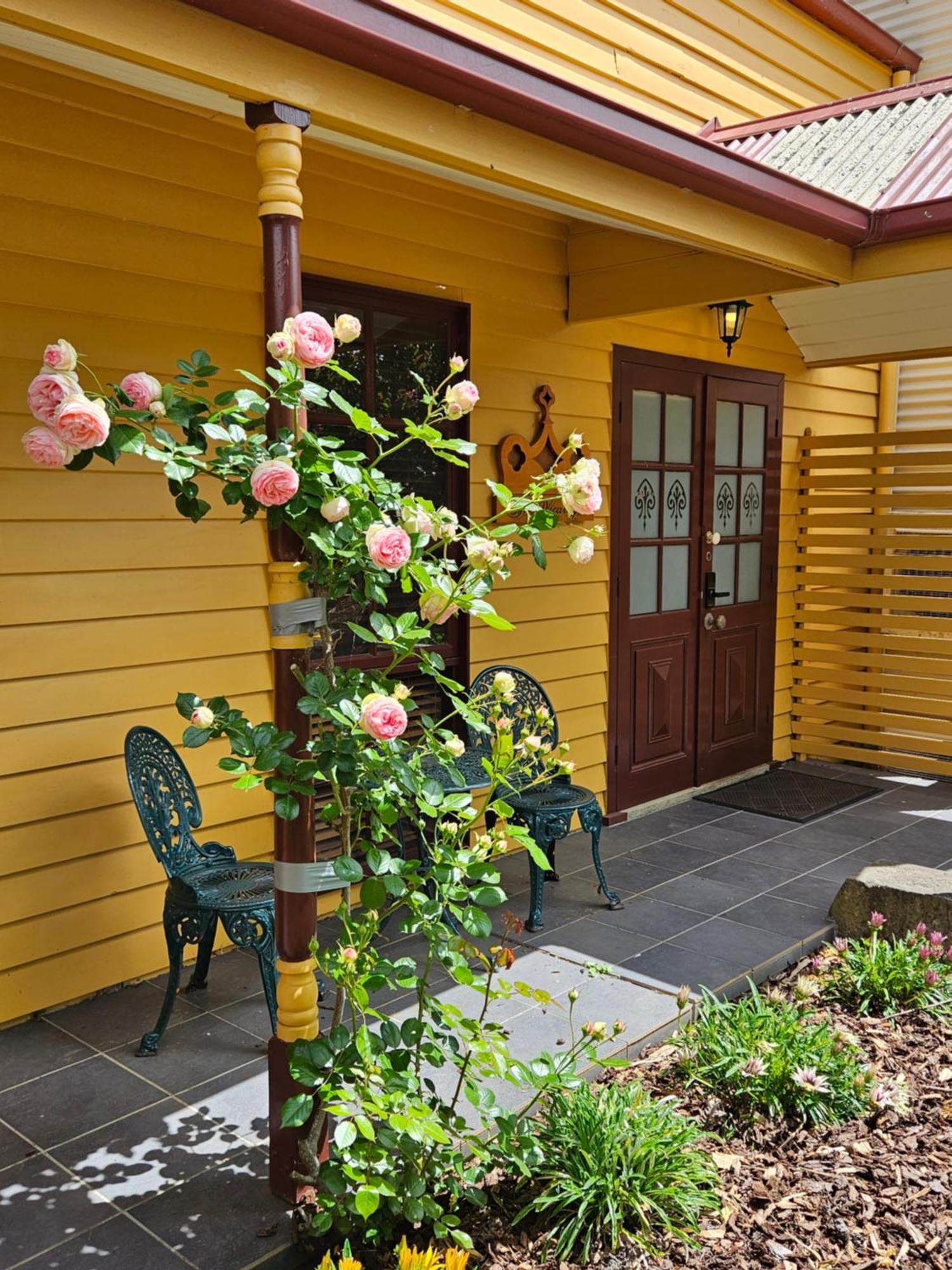 The Camperdown Mill Aparthotel Екстериор снимка